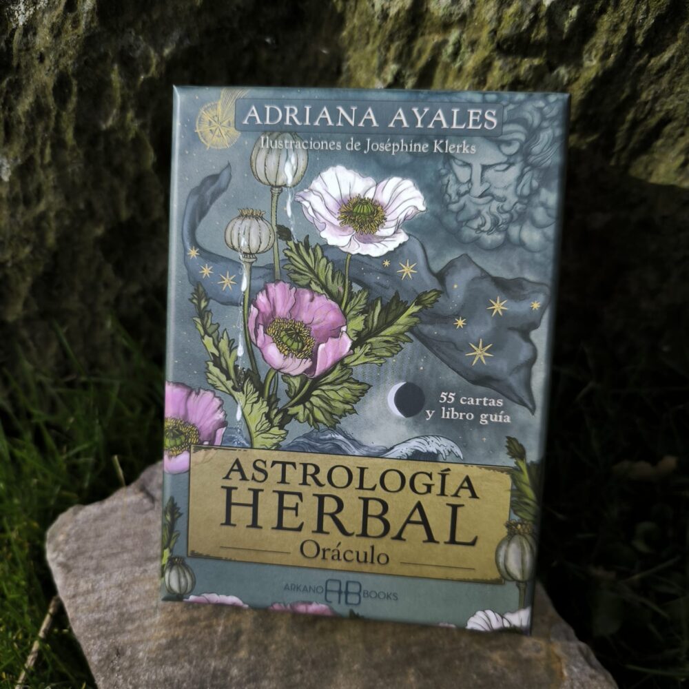 Detalle de la carta Hierba de San Juan del Oráculo de Astrología Herbal. Piedra en bosque